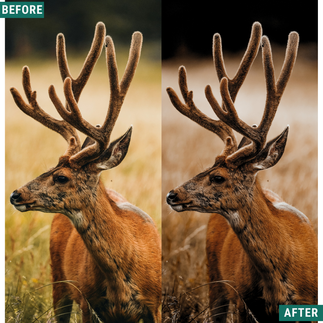 Muted Mood Lightroom Presets Pack