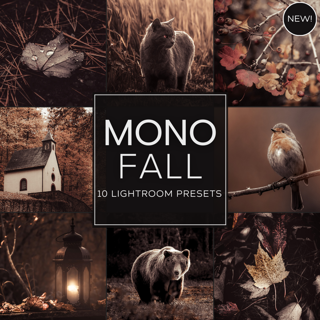 Mono Fall LIMITIERTES Lightroom-Presets-Paket