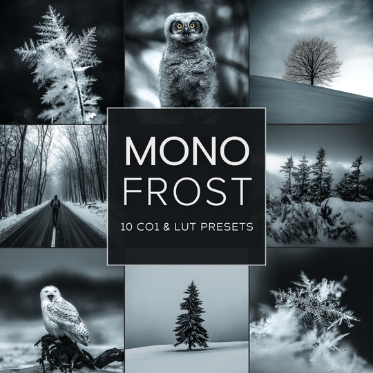 Mono Frost LIMITED Capture One & LUT Presets Pack