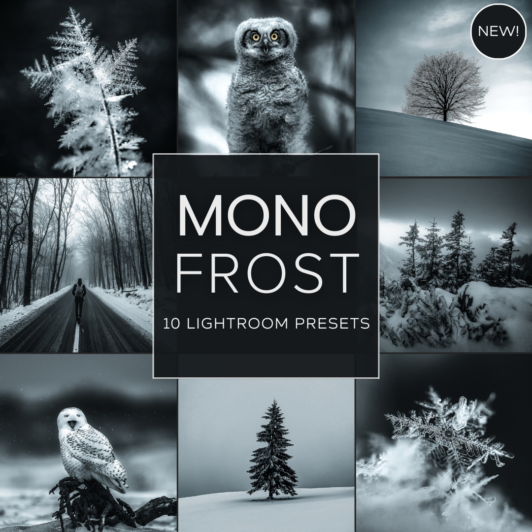 Mono Frost LIMITED Lightroom Presets Pack