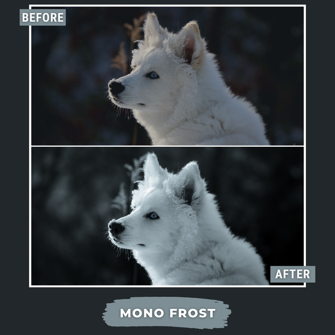 Mega Bundle 720 Lightroom Presets