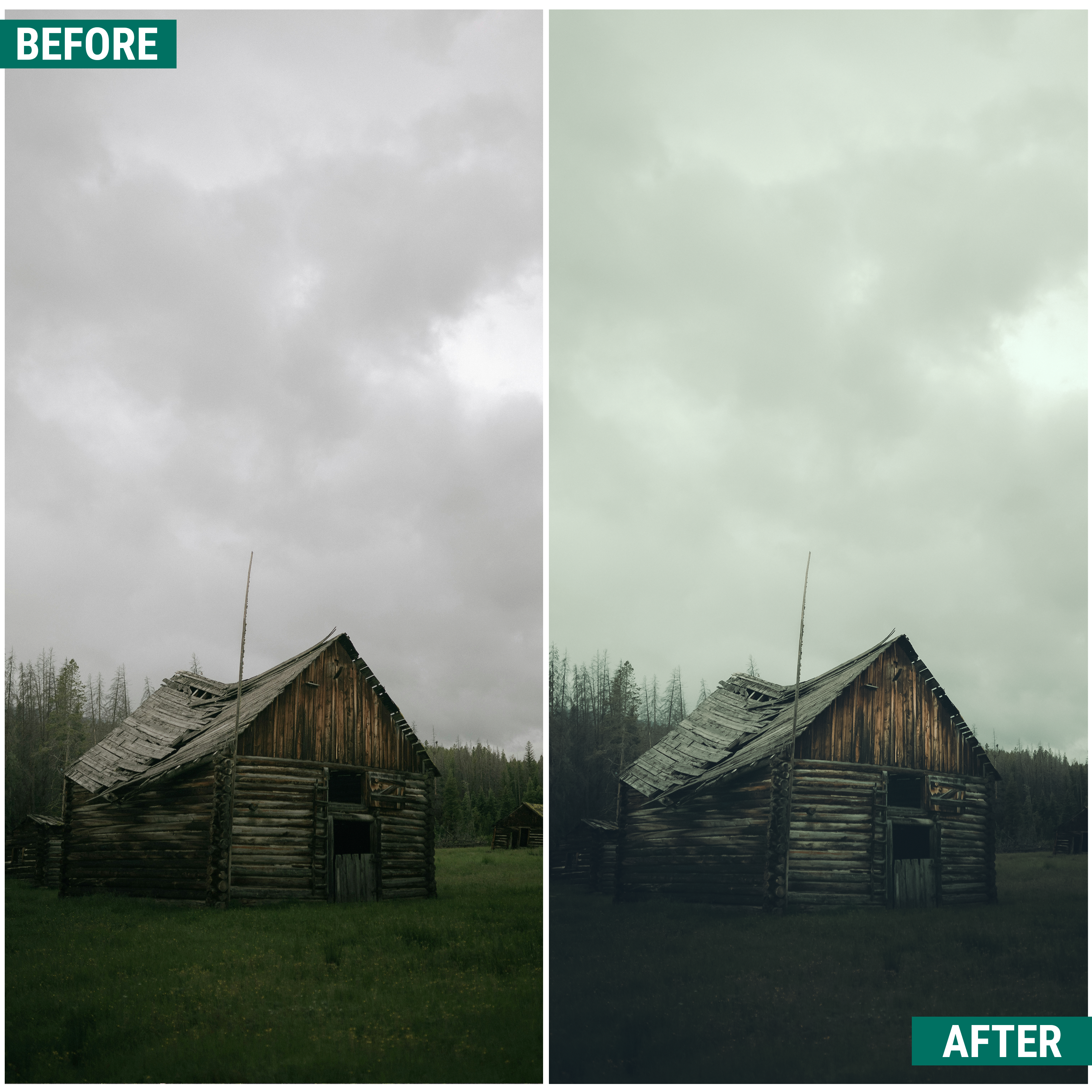 Moody Greens Lightroom Presets Pack