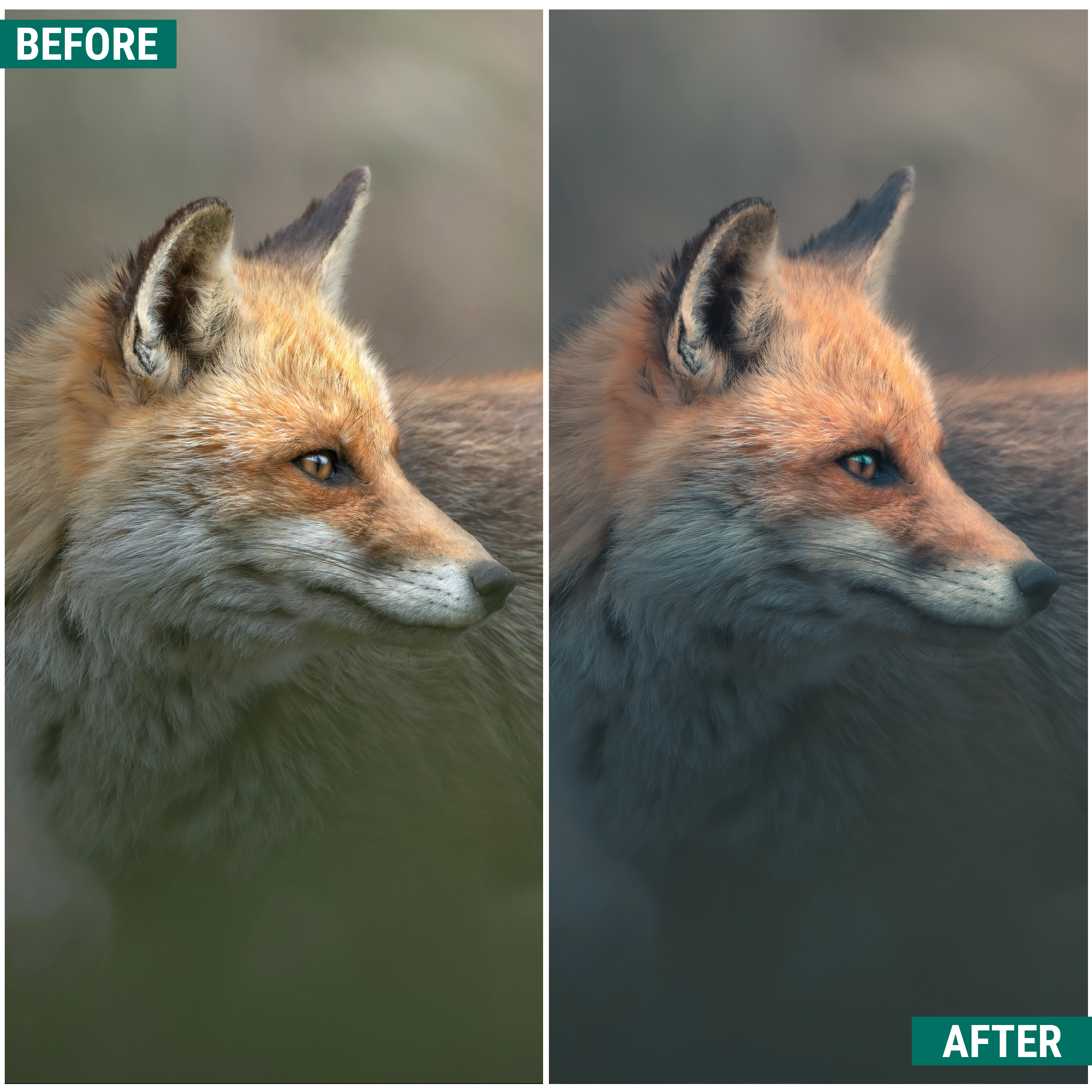 Moody Greens Lightroom Presets Pack