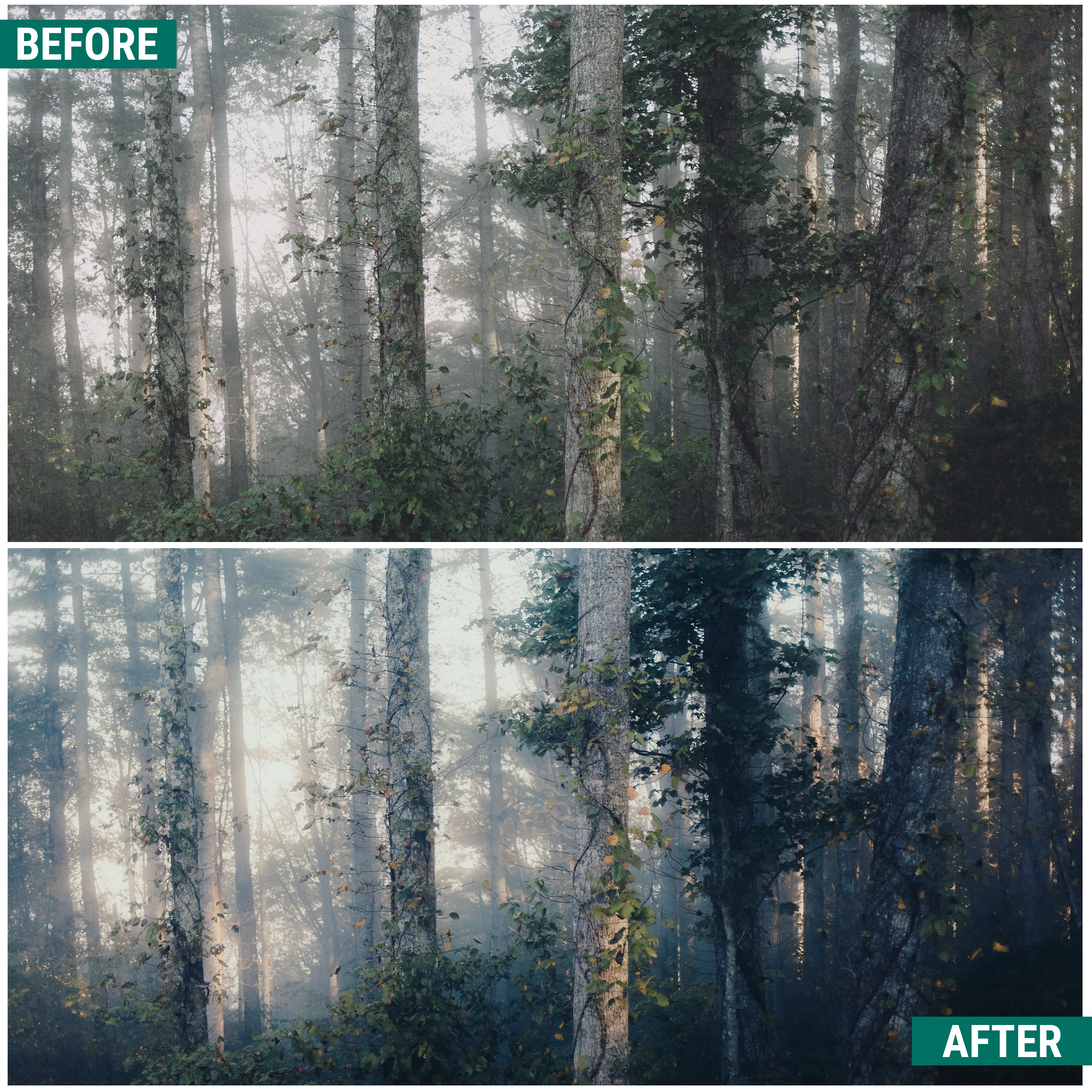 Moody Greens Lightroom Presets Pack