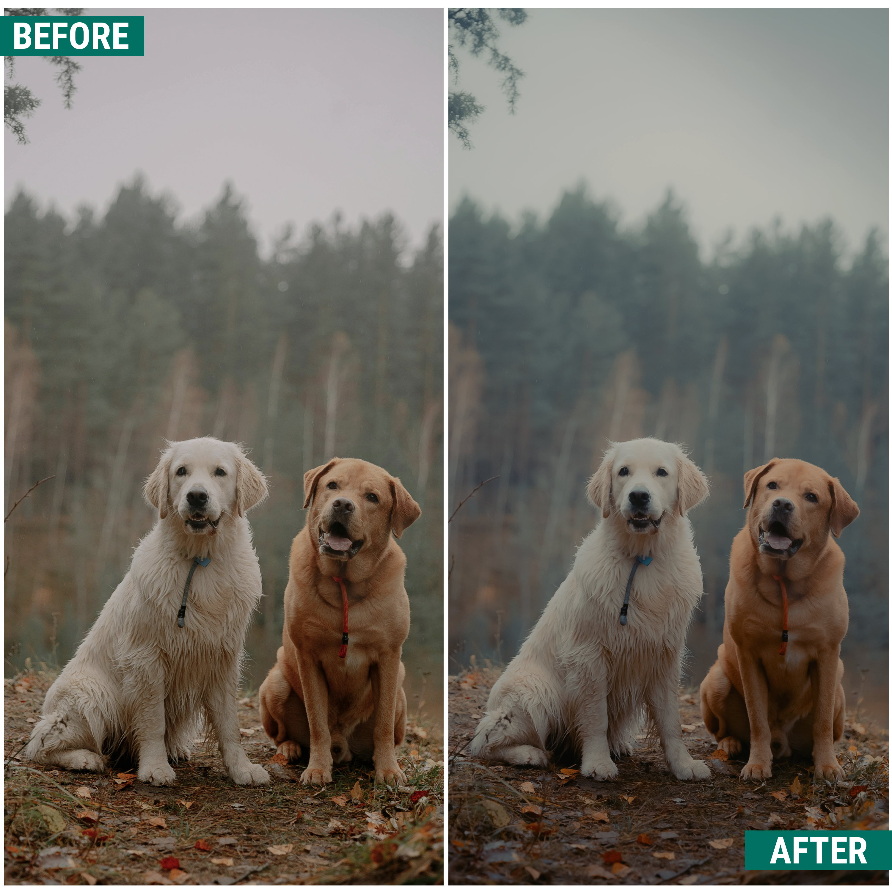 Moody Greens Lightroom Presets Pack