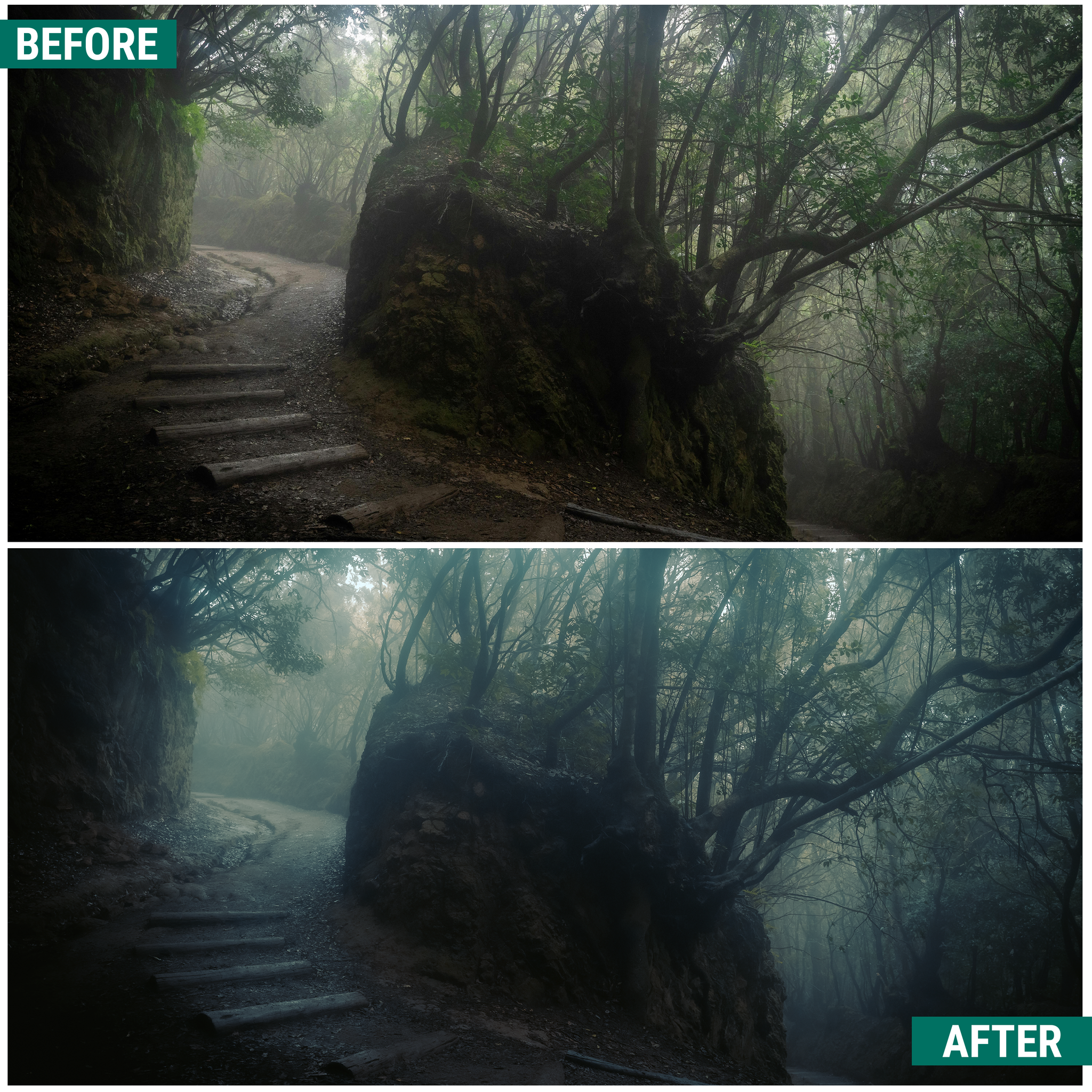 Moody Greens Lightroom Presets Pack