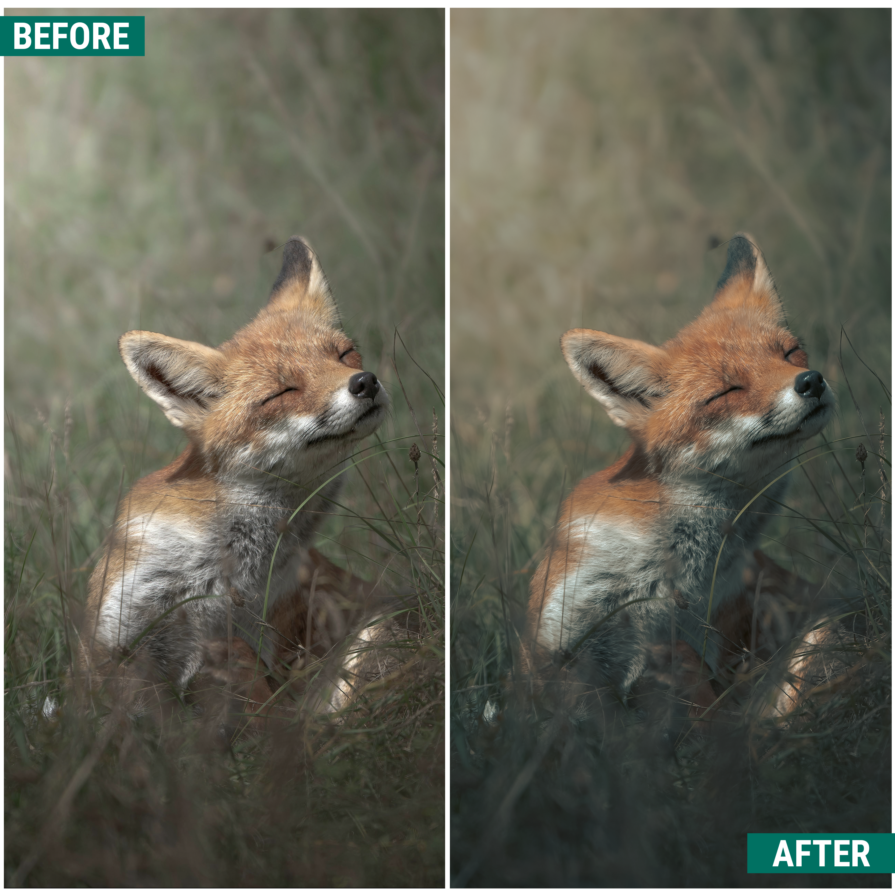 Moody Greens Lightroom Presets Pack