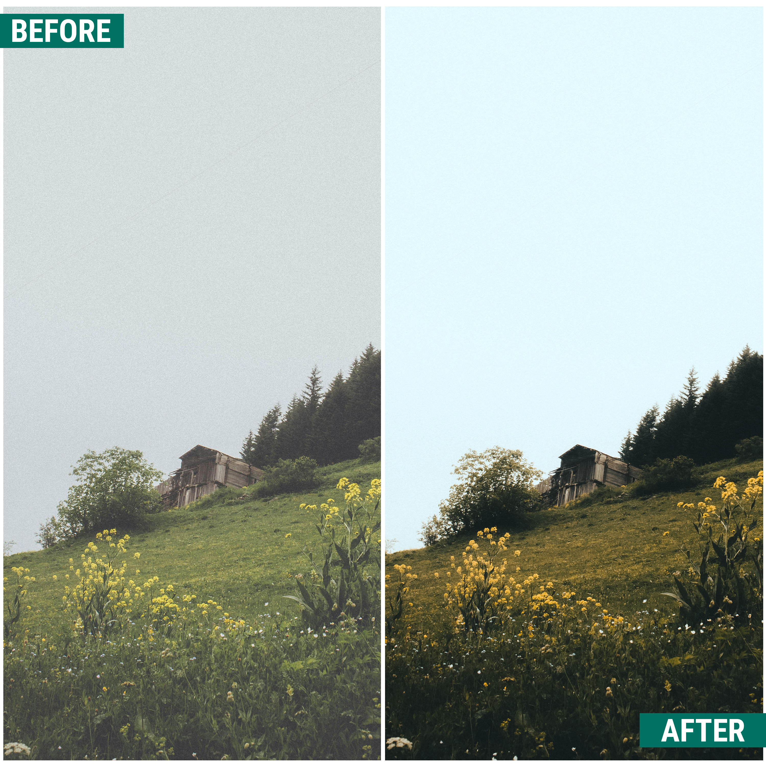 Moody Greens Lightroom Presets Pack