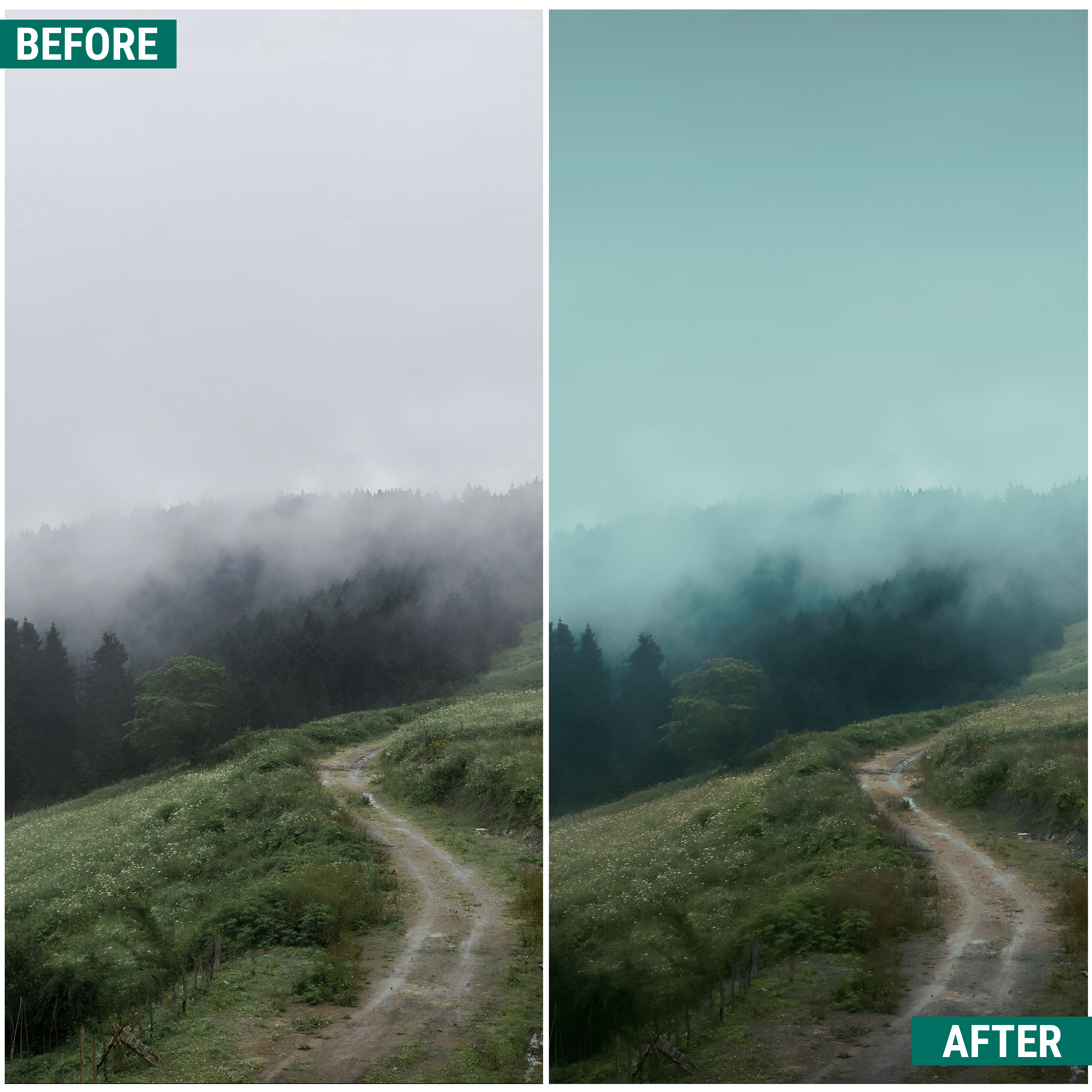 Moody Greens Lightroom Presets Pack