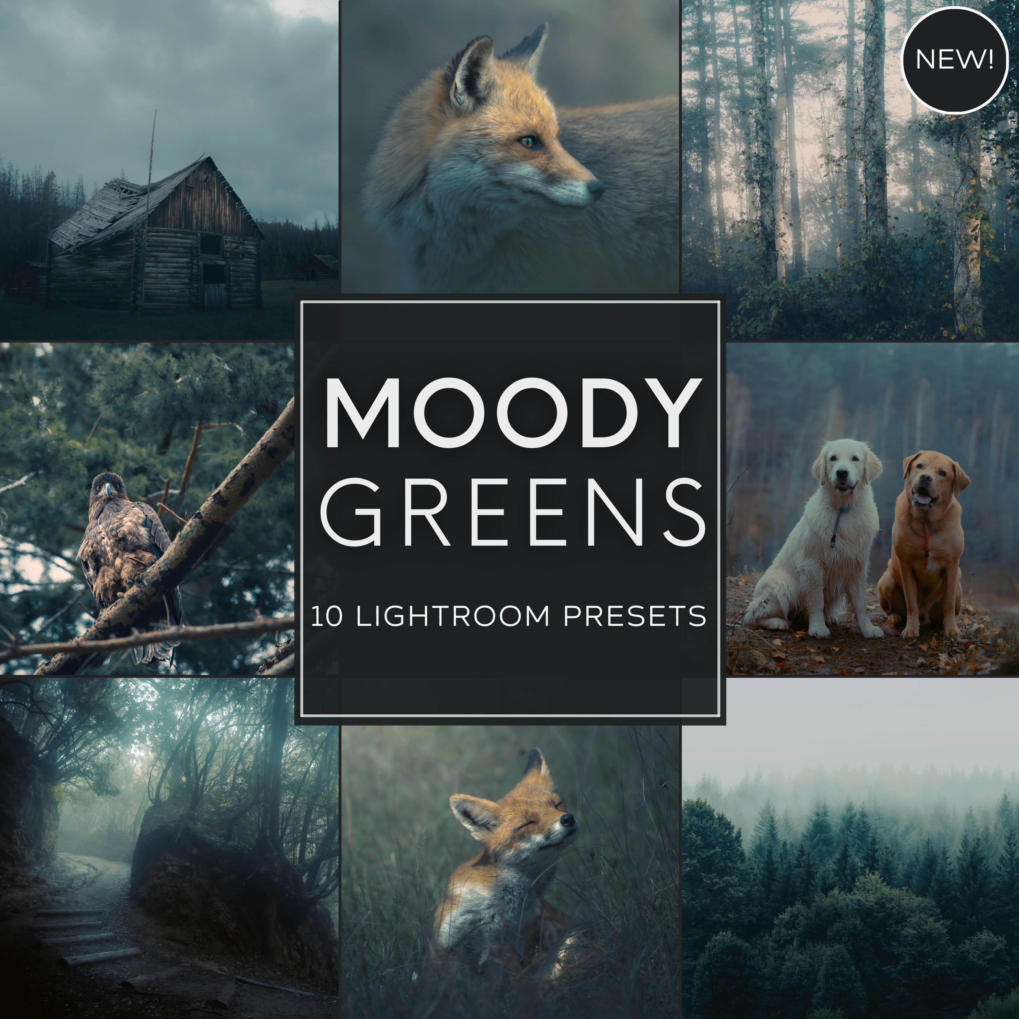 Moody Greens Lightroom Presets Pack