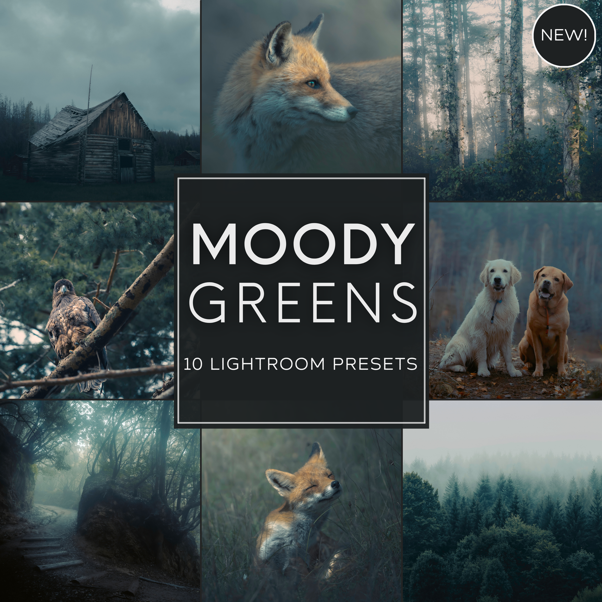 Moody Greens Lightroom Presets Pack