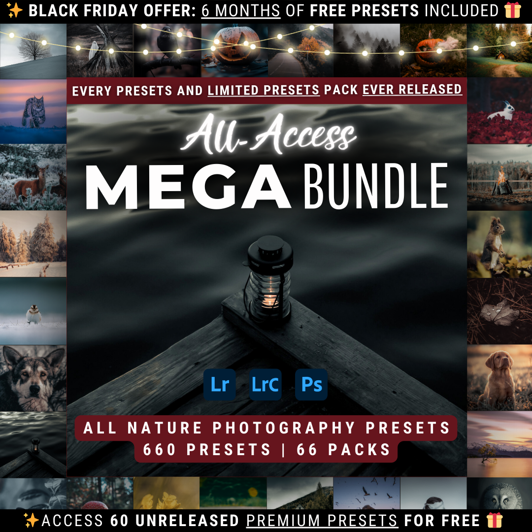 Mega Bundle 660 Lightroom-Presets