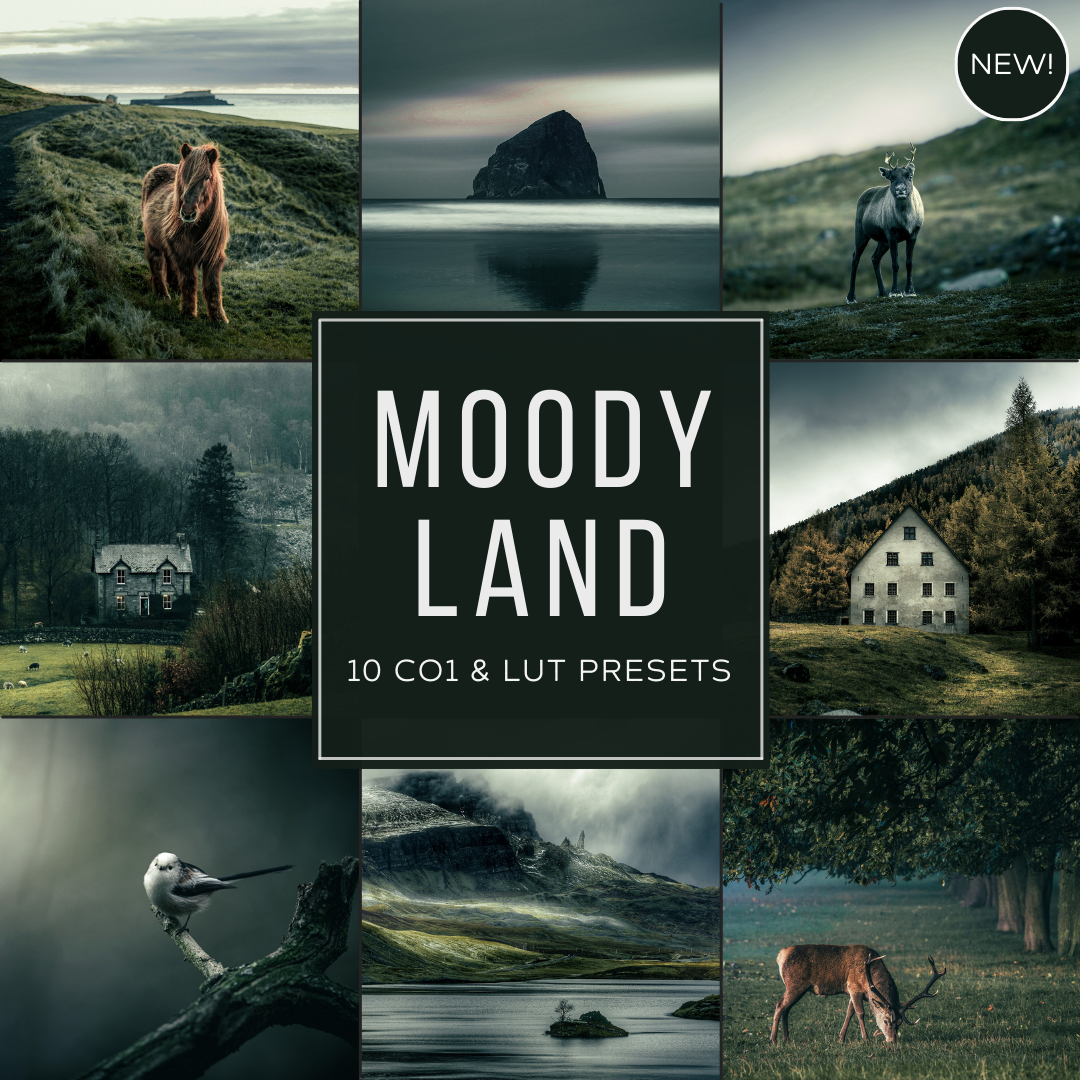 Moody Land LIMITED Capture One & LUT Presets Pack
