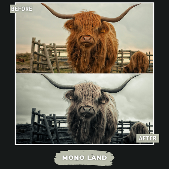 Master Collection Bundle 490 Lightroom Presets Summer