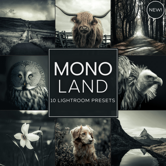 Mono Land LIMITIERTES Lightroom-Presets-Paket