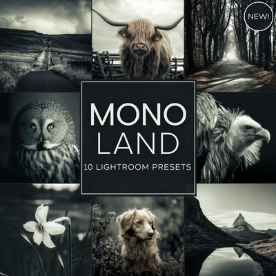 Mono Land LIMITED Lightroom Presets Pack