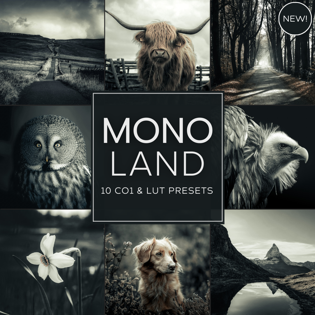 Mono Land LIMITED Capture One & LUT Presets Pack