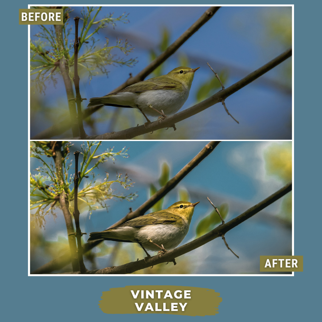 Spring Bundle LIMITED 80 Lightroom Presets + 42 Bonus AI Spring Presets