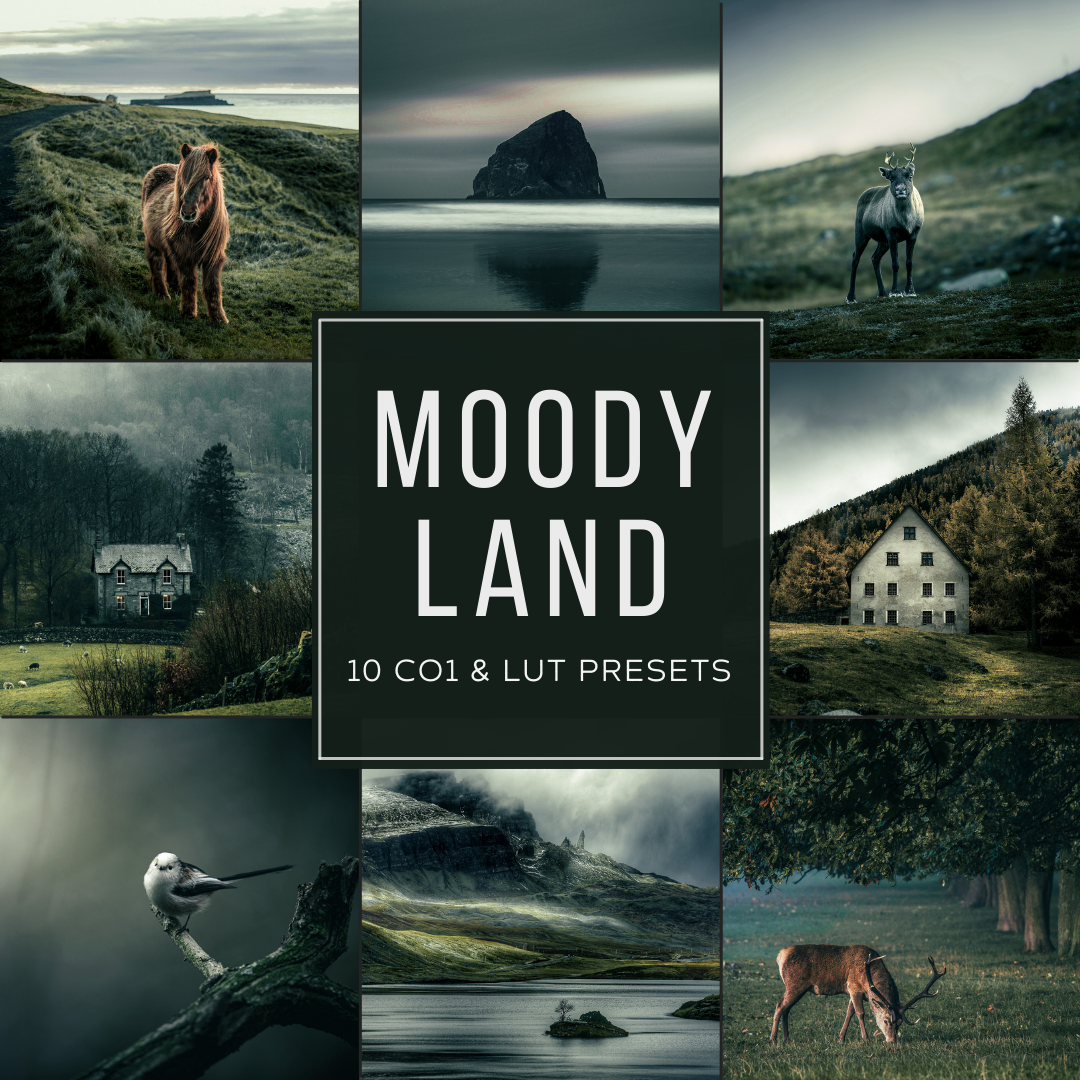 Moody Land LIMITED Capture One & LUT-Voreinstellungen-Paket