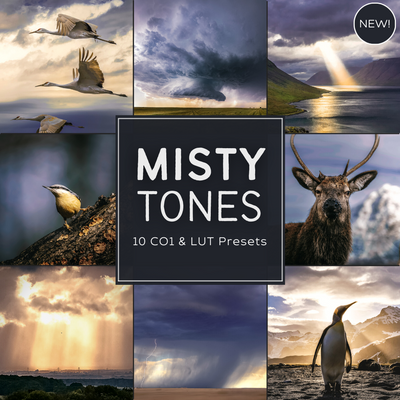 Misty Tones LIMITED Capture One & LUT Presets Pack