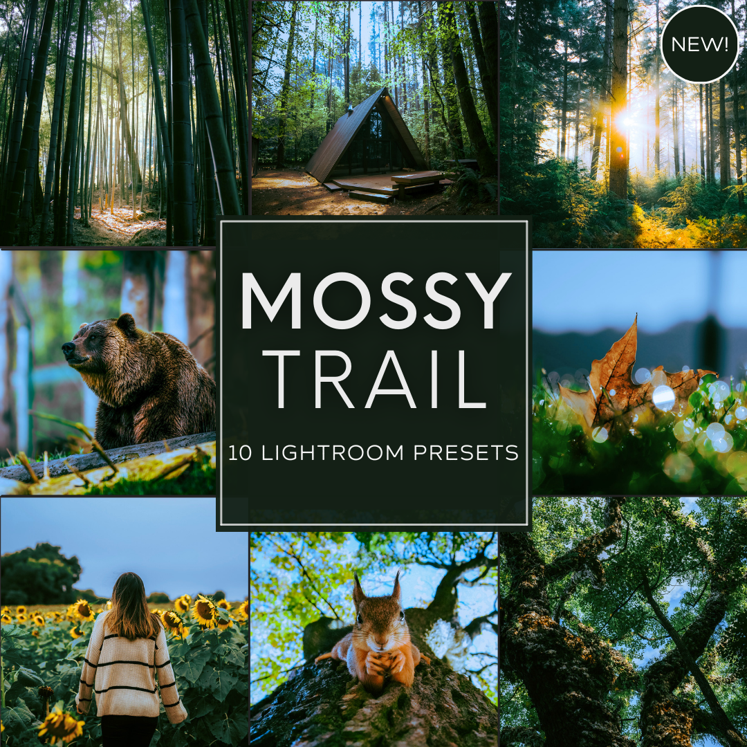 Mossy Trail Limited Lightroom Presets Pack: Lush Moss and Emerald Green Nature Photography Edits with Bright Vibrant Forest Tones for Desktop and Mobile.