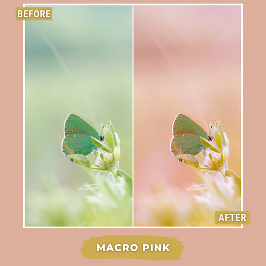 Spring Bundle LIMITED 80 Lightroom Presets + 42 Bonus AI Spring Presets