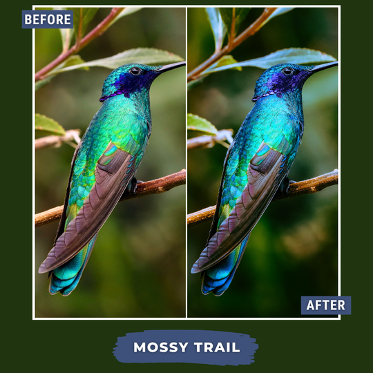 Spring Bundle LIMITED 80 Lightroom Presets + 42 Bonus AI Spring Presets