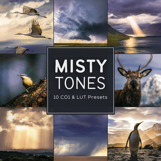 Misty Tones LIMITED Capture One &amp;amp; LUT-Voreinstellungspaket