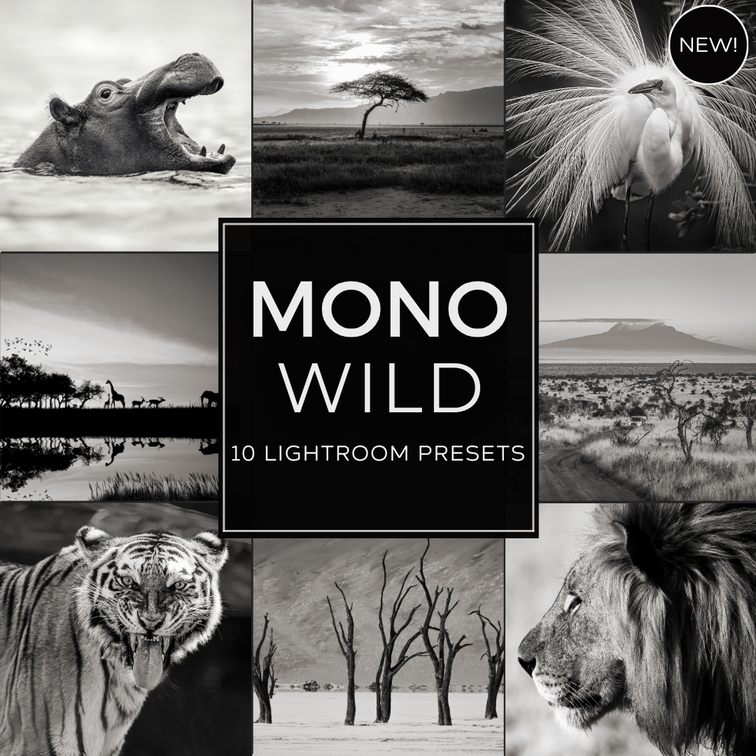 Mono Wild LIMITED Lightroom Presets Pack