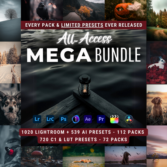 Mega Bundle 2.024 Presets All-Access-Toolbox