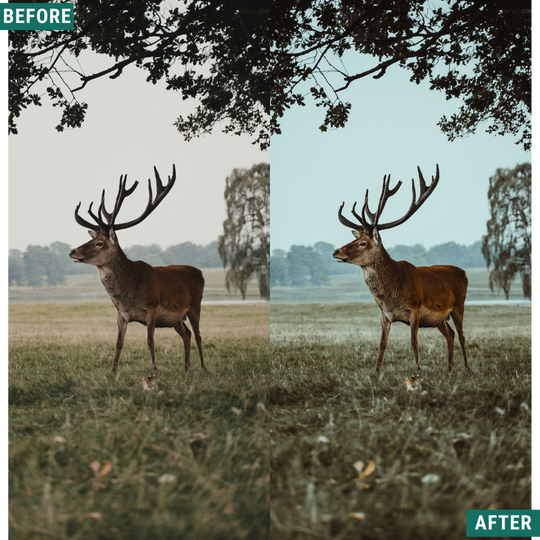 Muted North Lightroom Presets Pack