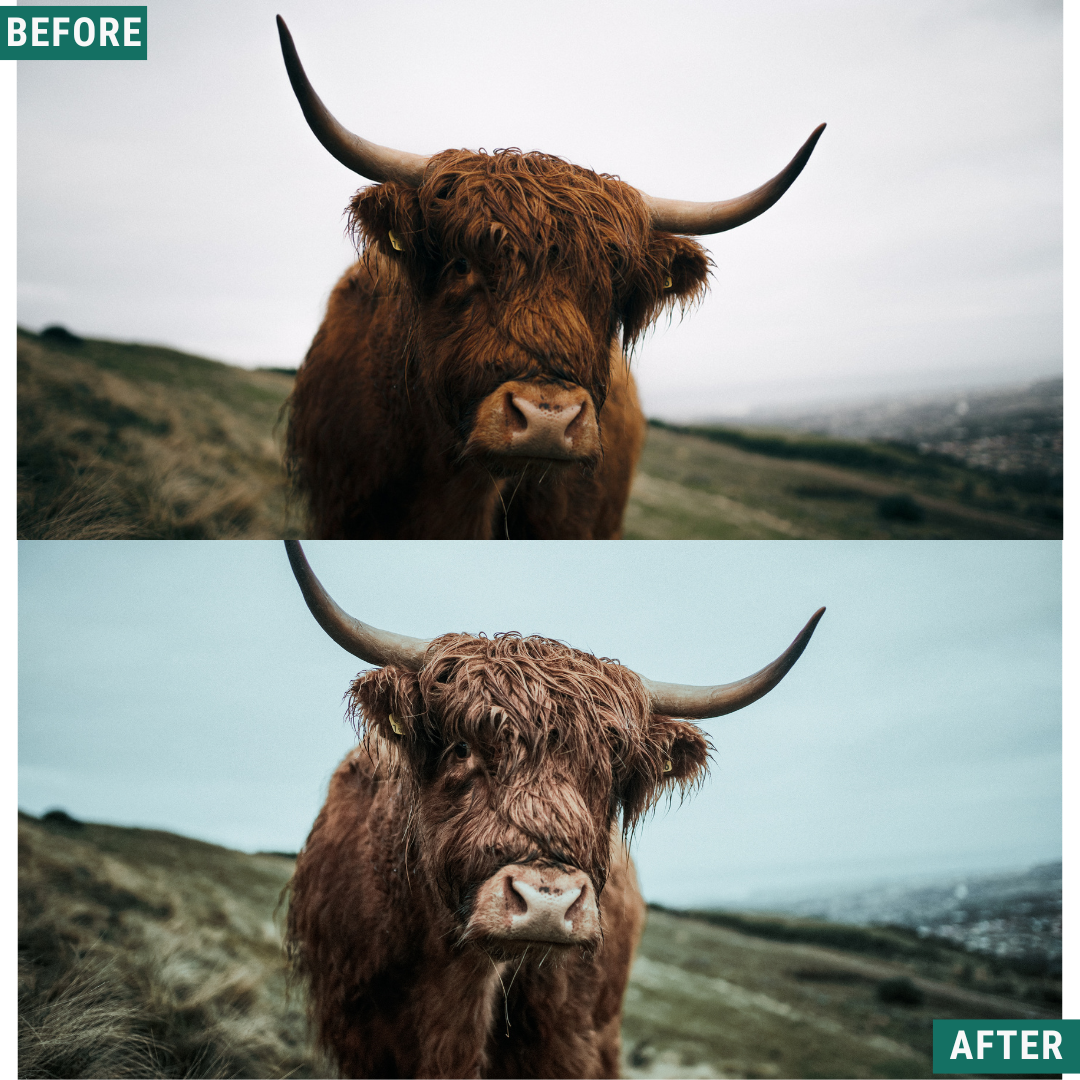 Muted North Lightroom Presets Pack