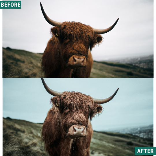 Muted North Lightroom Presets Pack