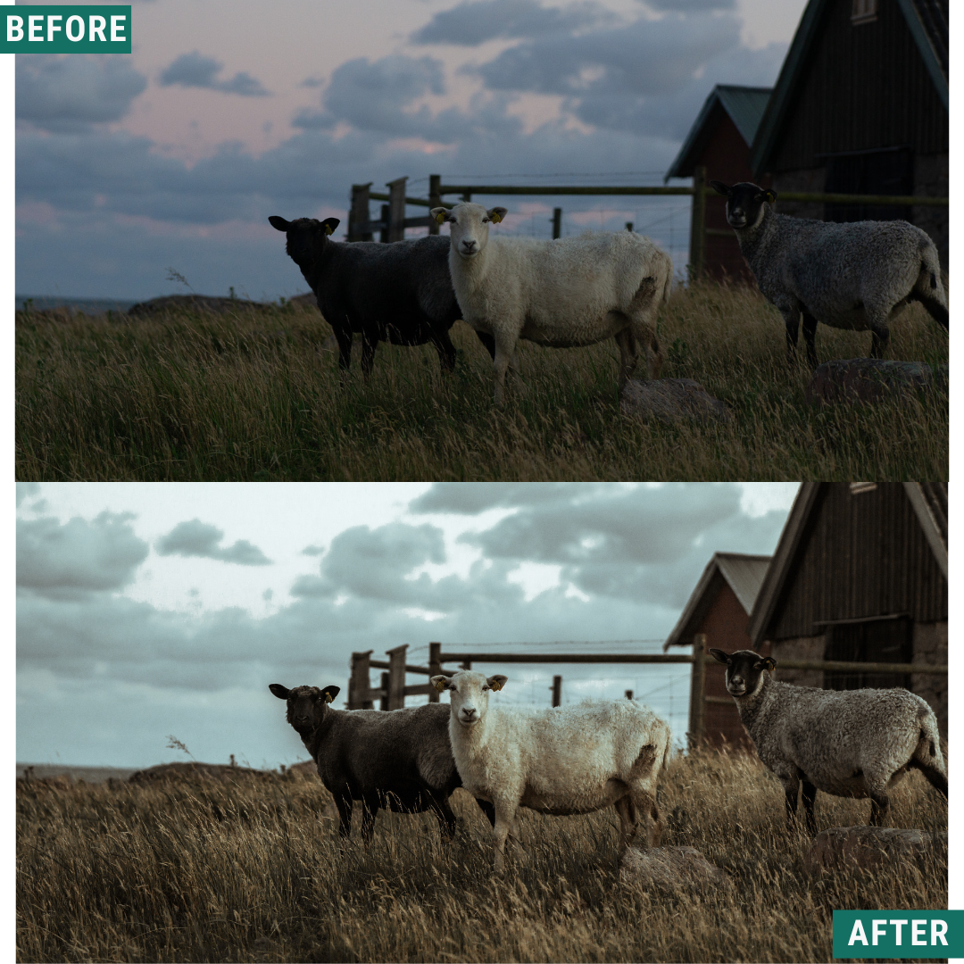 Muted North Lightroom Presets Pack