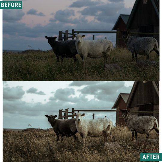 Muted North Lightroom Presets Pack