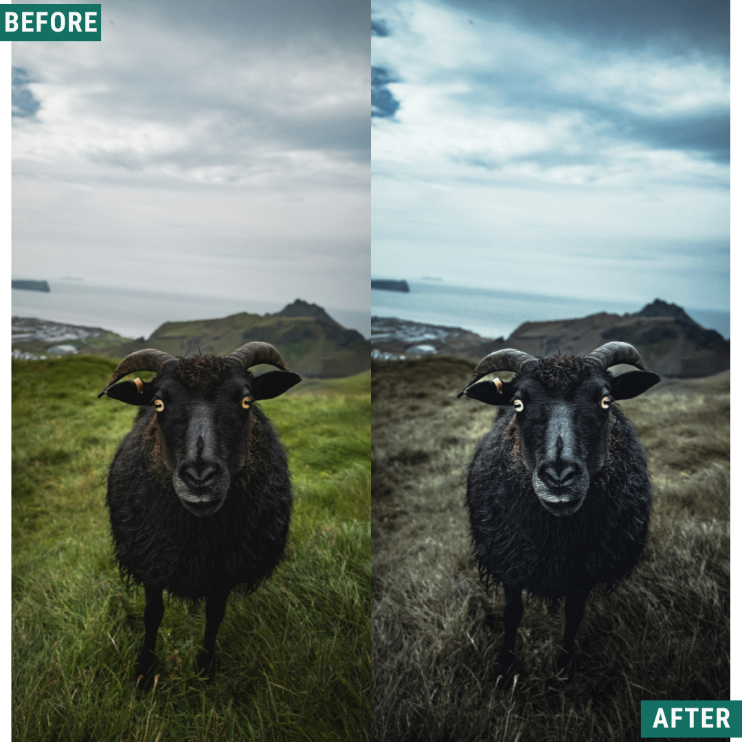 Nordic Blue Lightroom Presets Pack