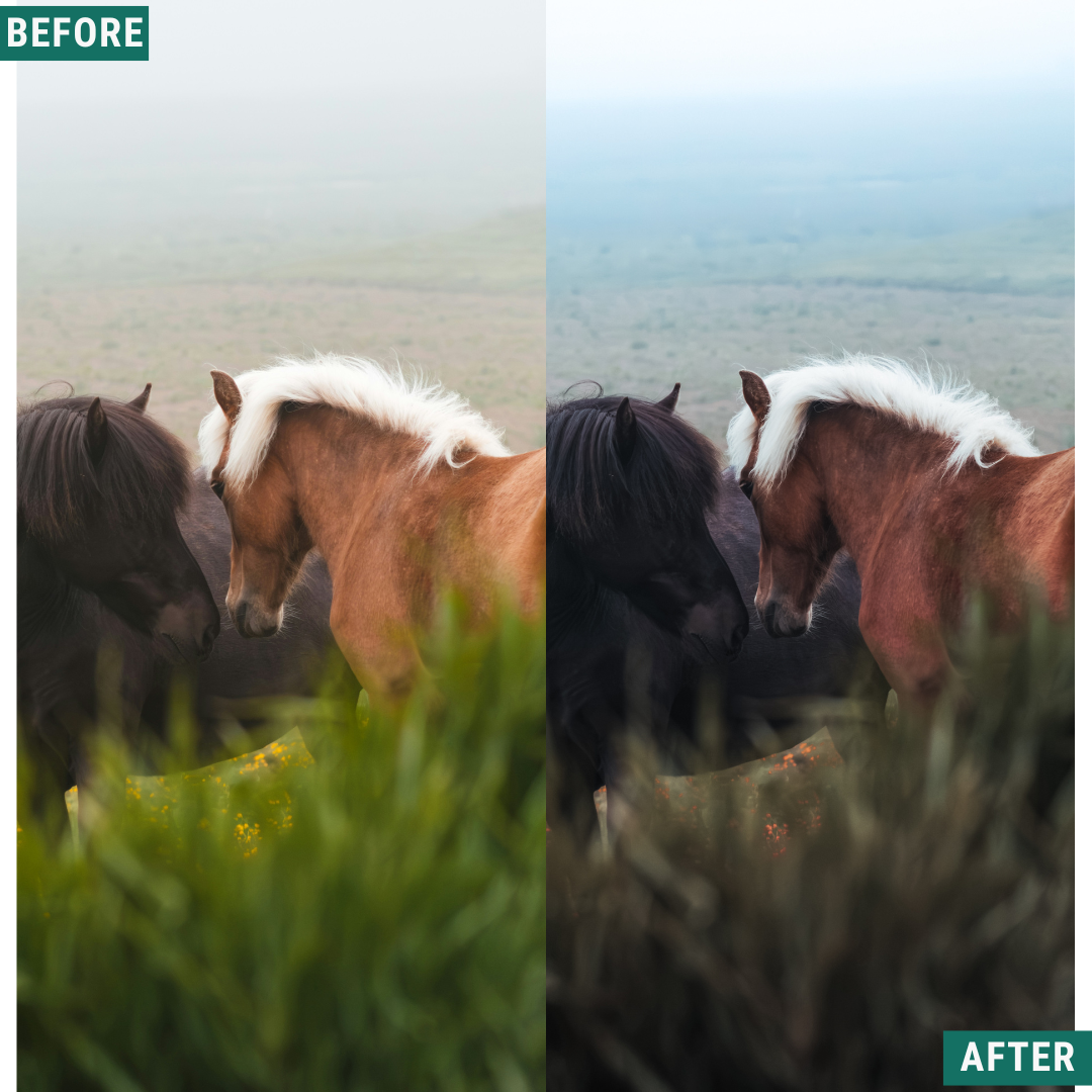 Nordic Blue Lightroom Presets Pack