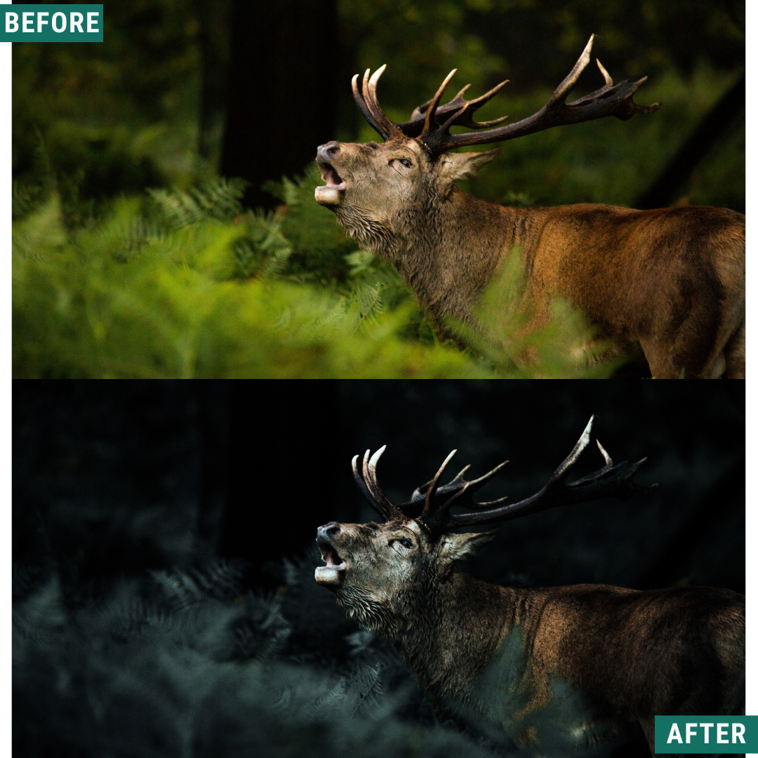 Night Blue LIMITED Lightroom Presets Pack