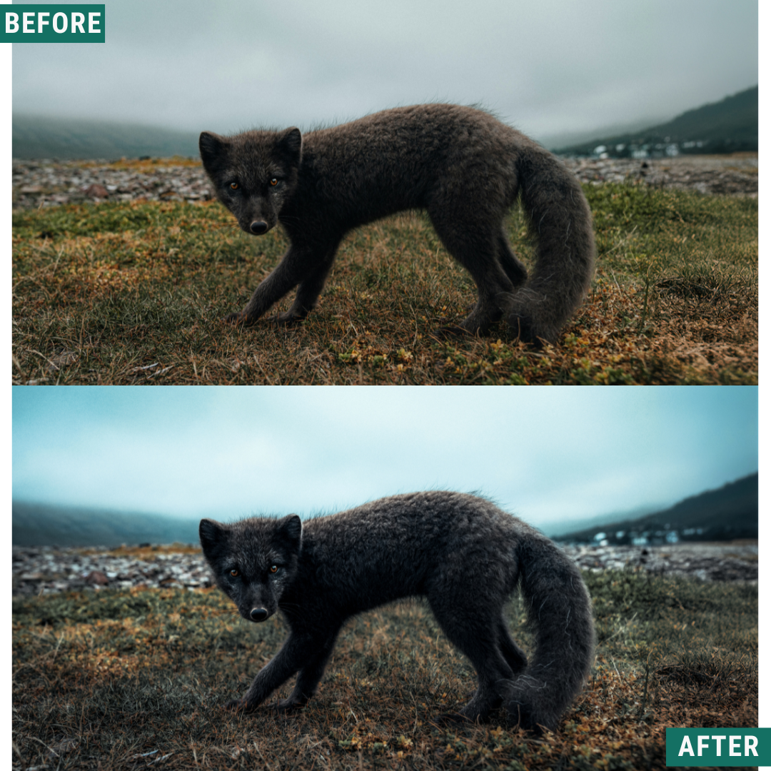 Nordic Blue Lightroom Presets Pack