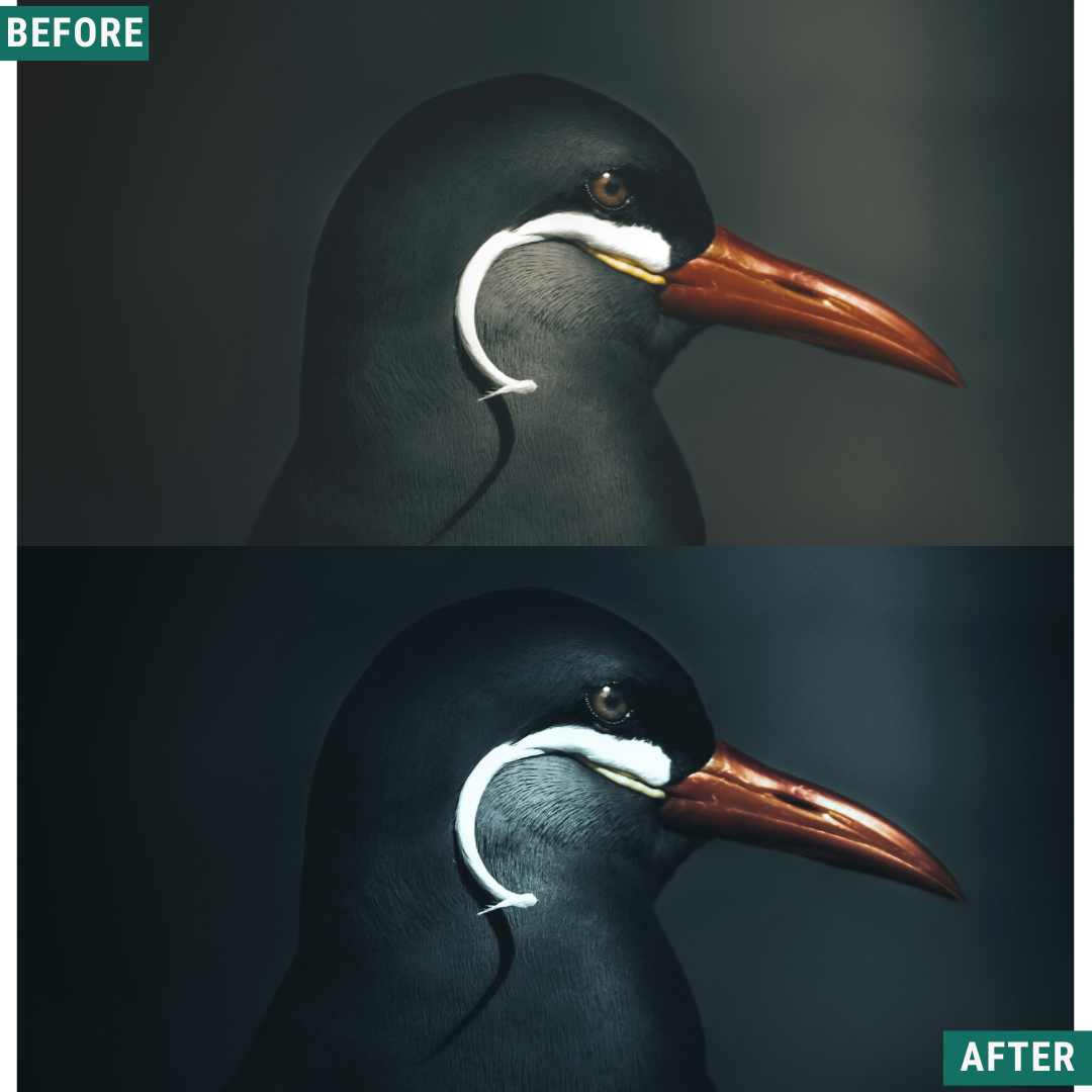 Night Blue LIMITED Lightroom Presets Pack
