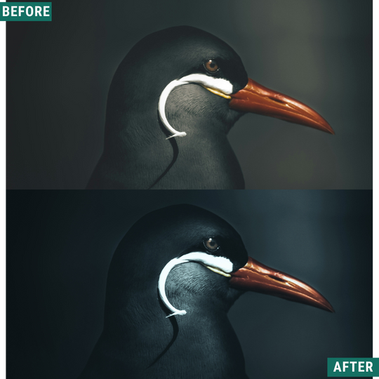 Night Blue LIMITED Lightroom Presets Pack