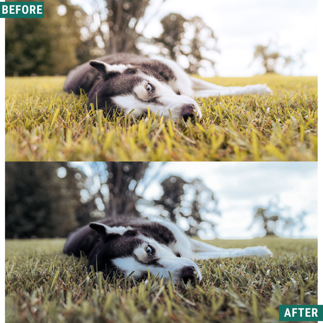 Nordic Blue Lightroom Presets Pack