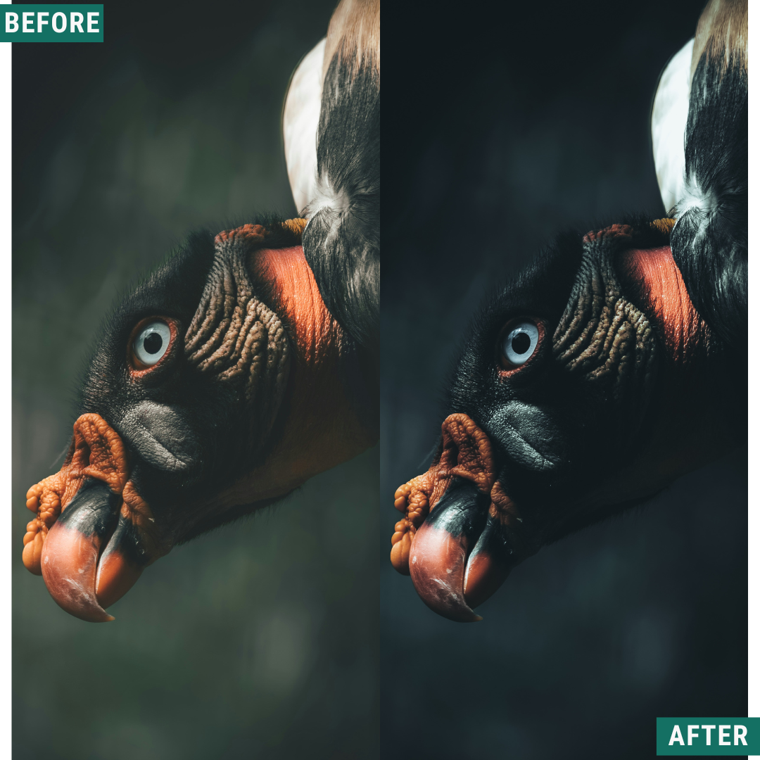 Night Blue LIMITED Lightroom Presets Pack