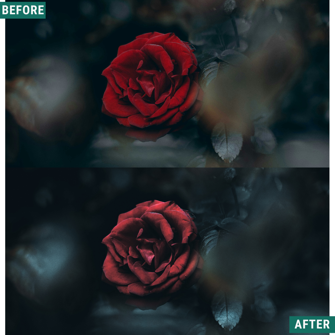 Night Blue LIMITED Lightroom Presets Pack