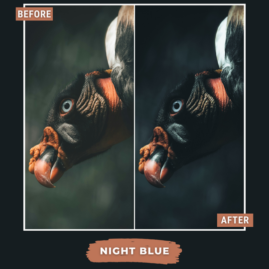 Master Collection Bundle 490 Lightroom Presets Summer