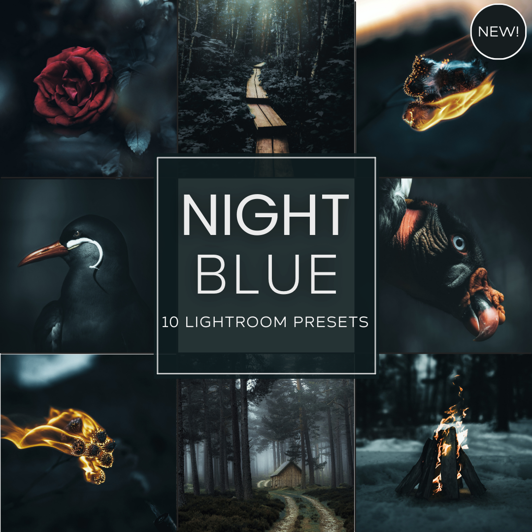 Night Blue LIMITED Lightroom Presets Pack