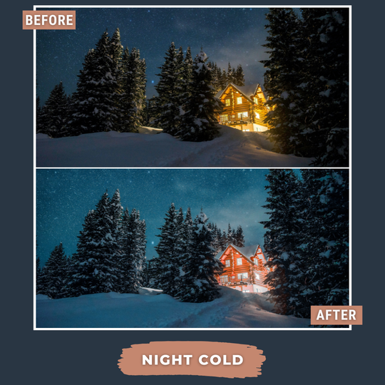 Master Collection Capture One & LUT Presets Bundle Winter