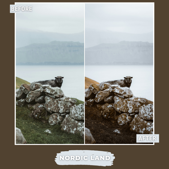 Master Collection Capture One & LUT Presets Bundle Winter