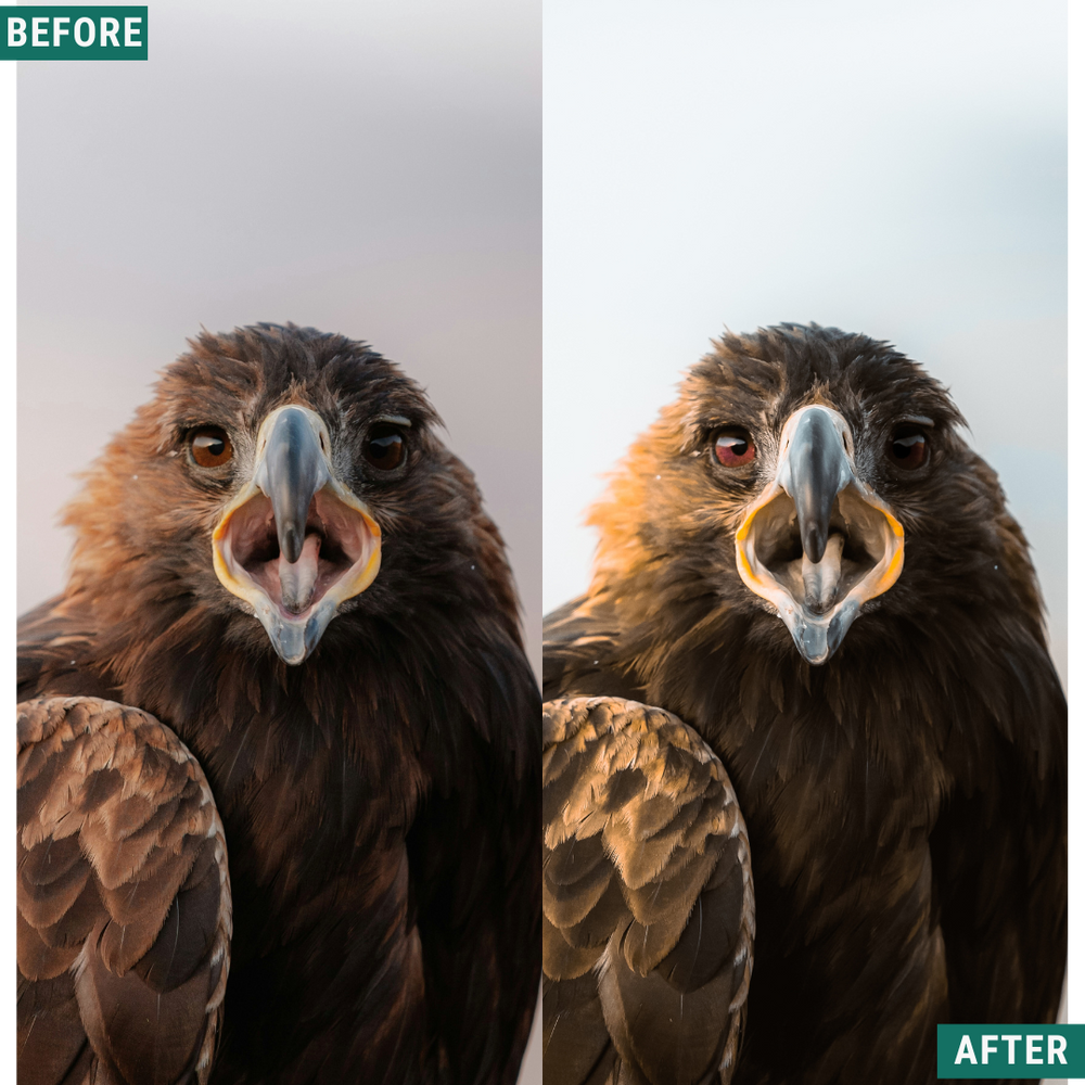 Nordic Land LIMITED Lightroom Presets Pack