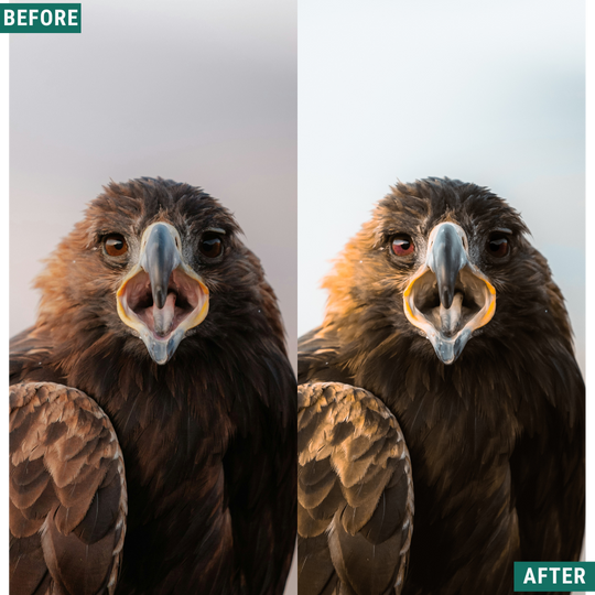 Nordic Land LIMITED Lightroom Presets Pack